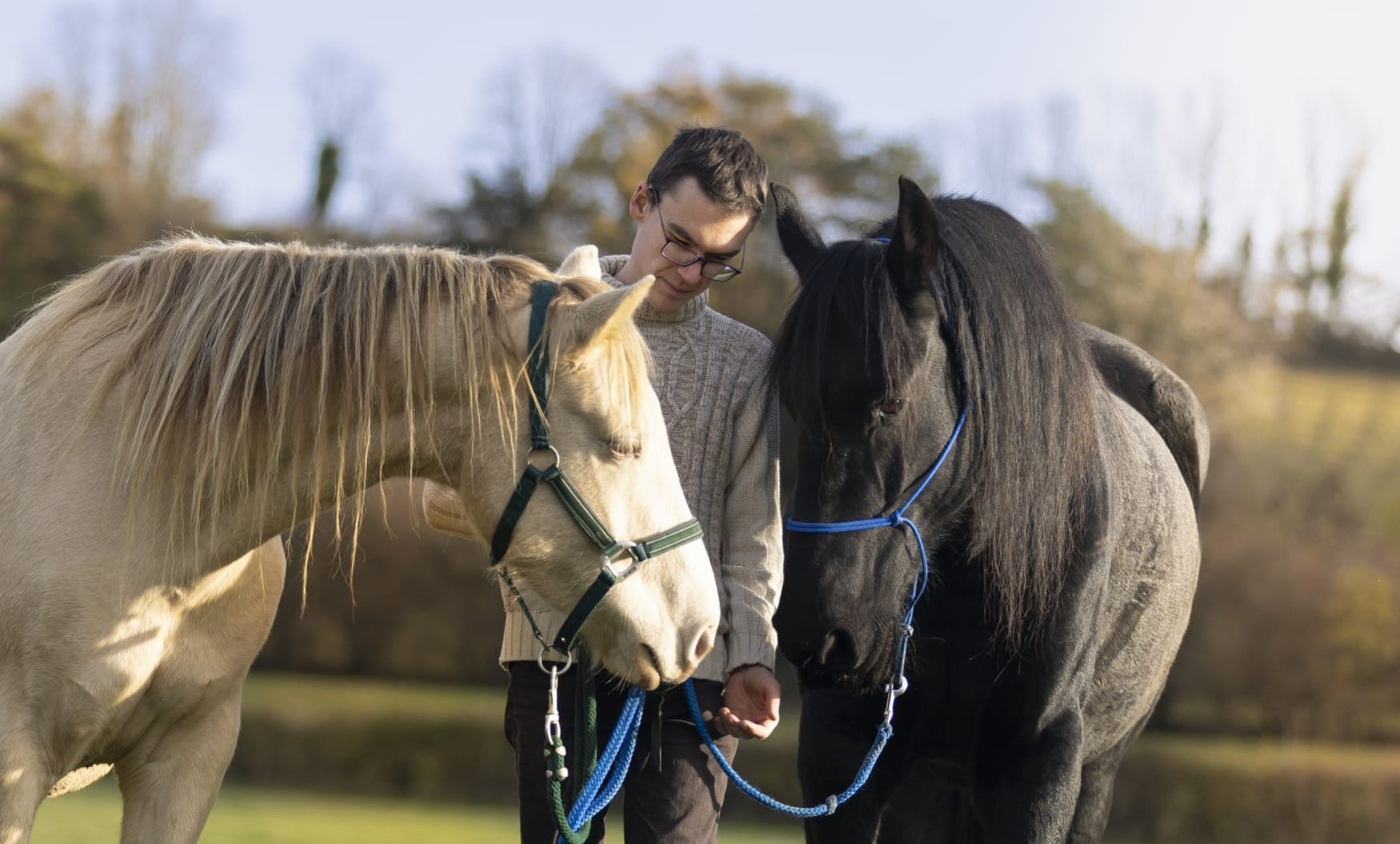 Eco Domaine D'Horsheim. Le Faouët. Ferme pédagogique, Pension chevaux