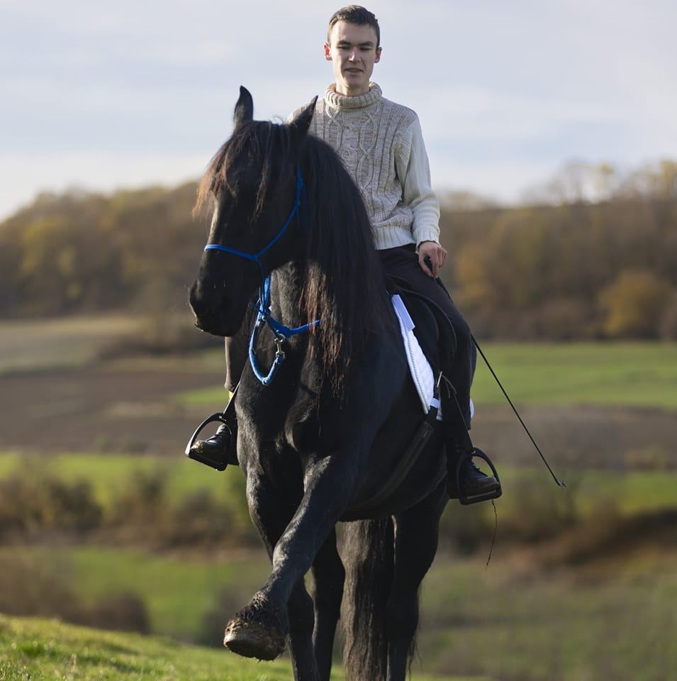 Eco Domaine D'Horsheim. Le Faouët. Ferme pédagogique, Pension chevaux