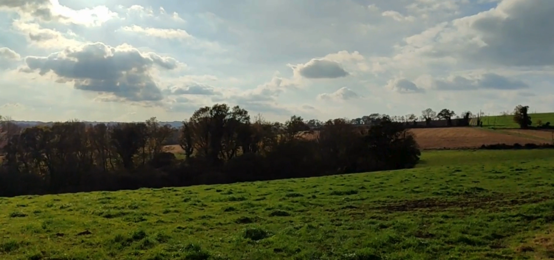 Eco Domaine D'Horsheim. Le Faouët. Ferme pédagogique, Pension chevaux