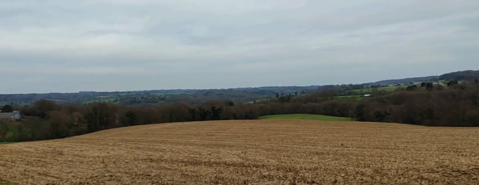 Eco Domaine D'Horsheim. Le Faouët. Ferme pédagogique, Pension chevaux