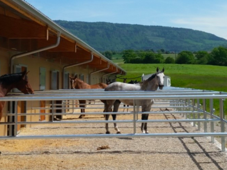 Le Faouët. Pension chevaux box terrasse. Lorient