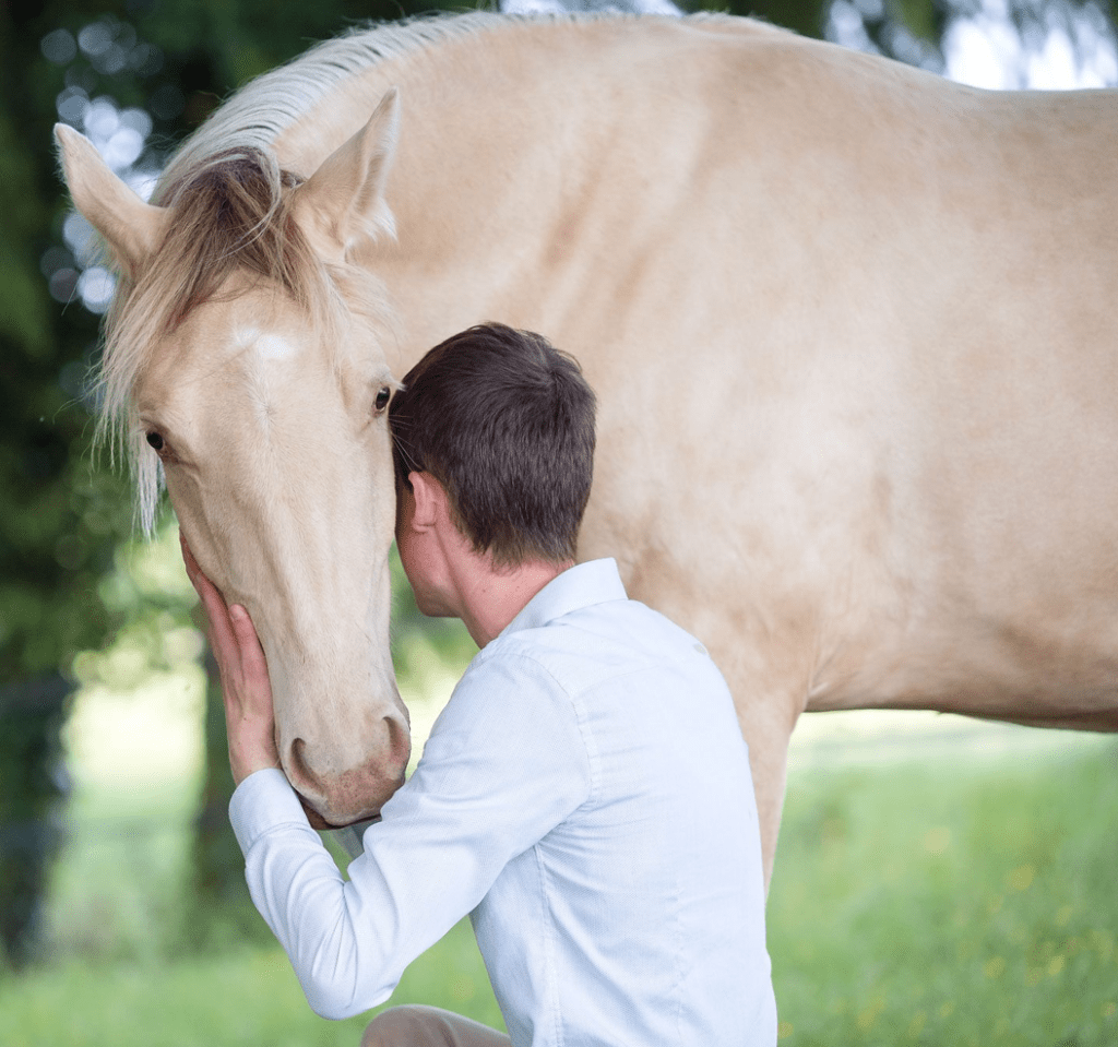 Eco Domaine D'Horsheim. Le Faouët. Complicité, Pension chevaux box terrasse