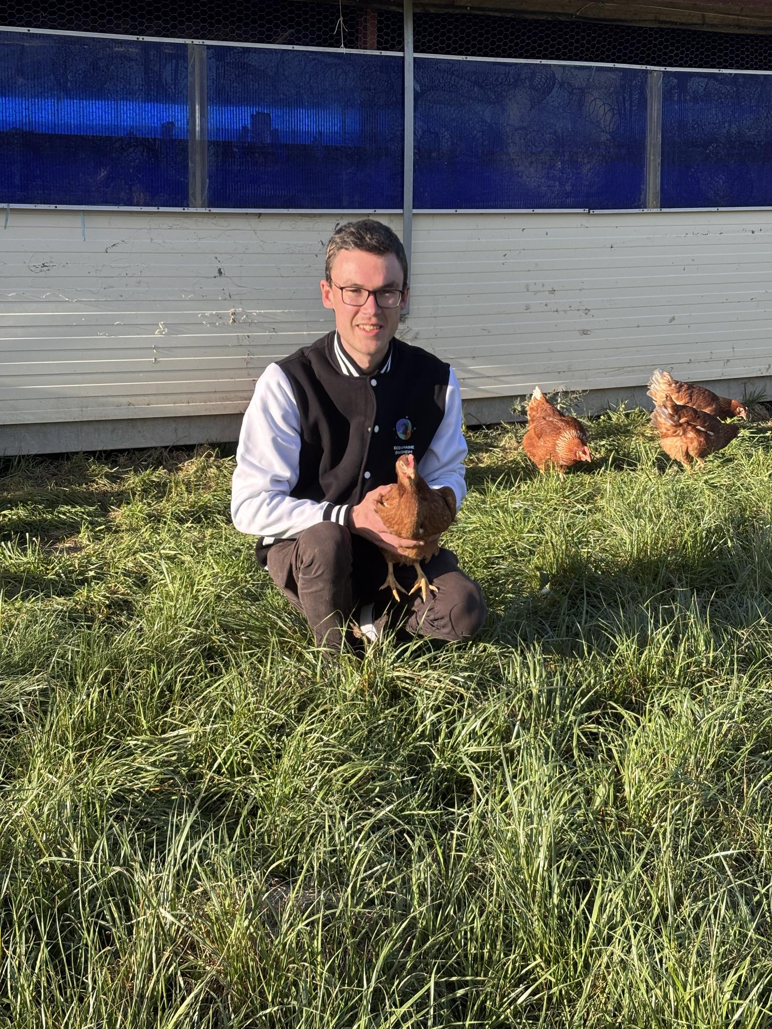 🐔 250 poules débarquent à Horsheim 🥚✨