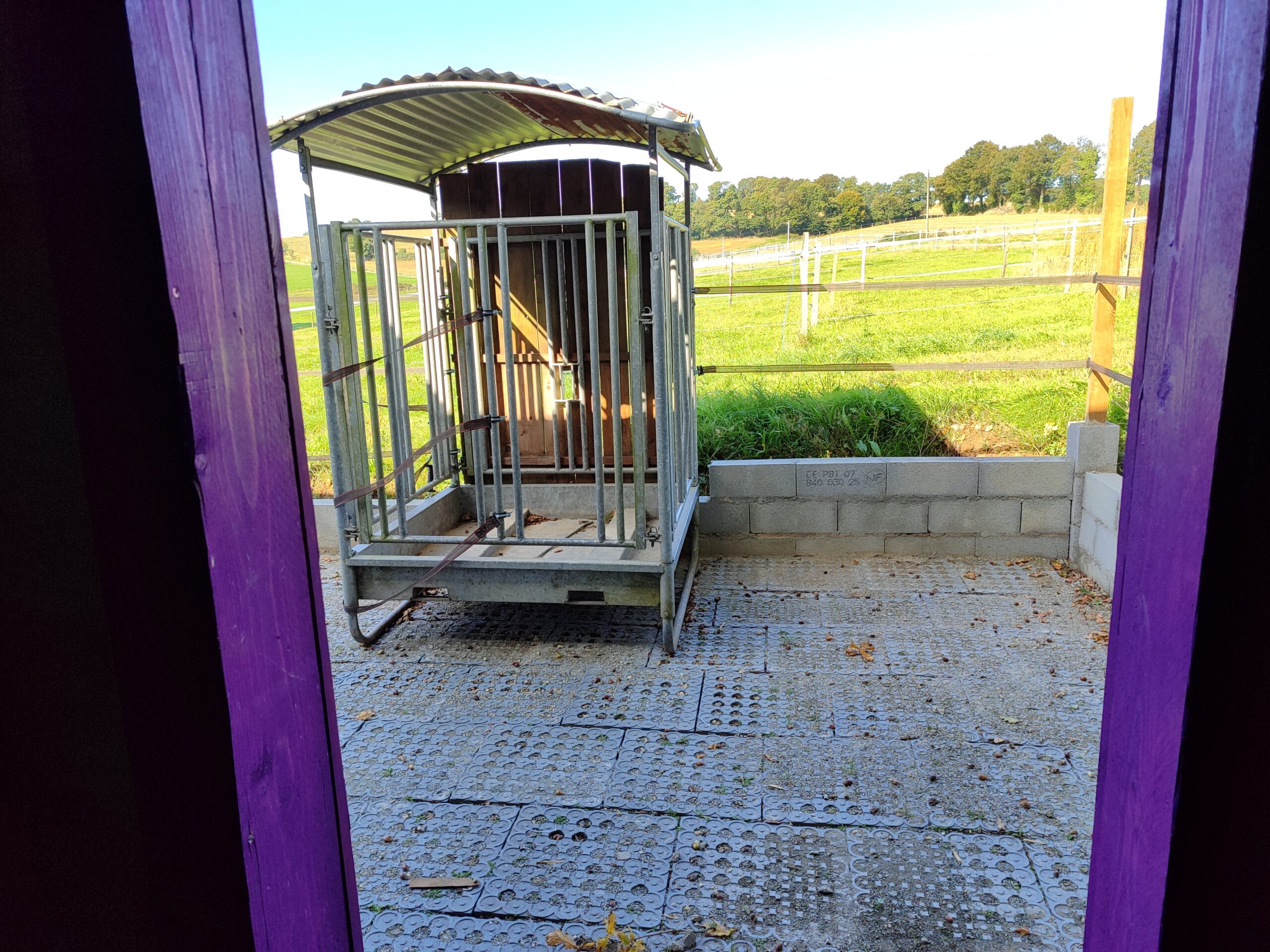 Ouverture de nos boxs terrasses pour chevaux : confort, bien-être et disponibilité limitée
