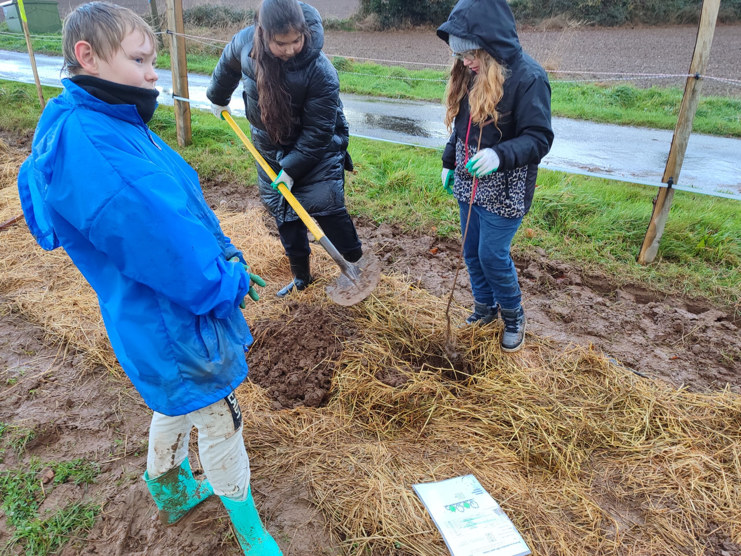 450 arbres plantés avec l&rsquo;école de Guiscriff