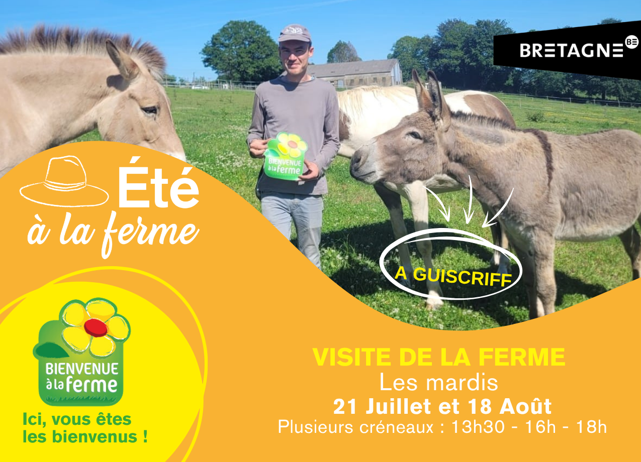 Visites de la ferme cet été à l’Éco-Domaine d’Horsheim